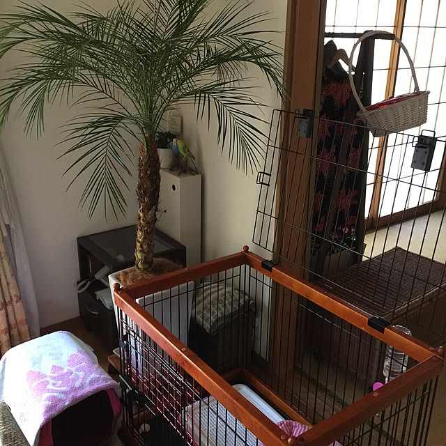 sakulaさんの実例写真