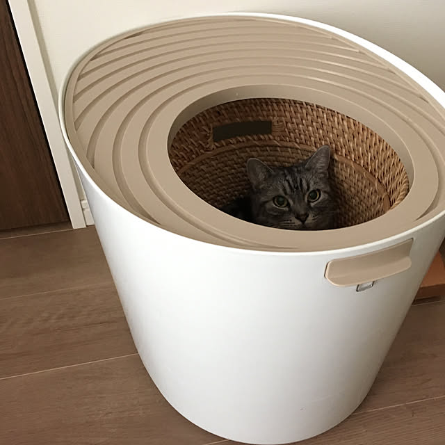 mikomaruさんの実例写真