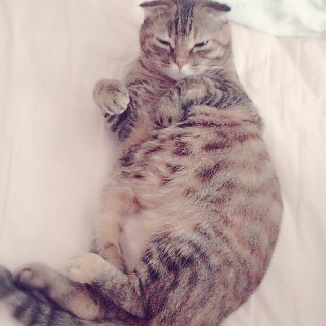 Y.Gさんの実例写真