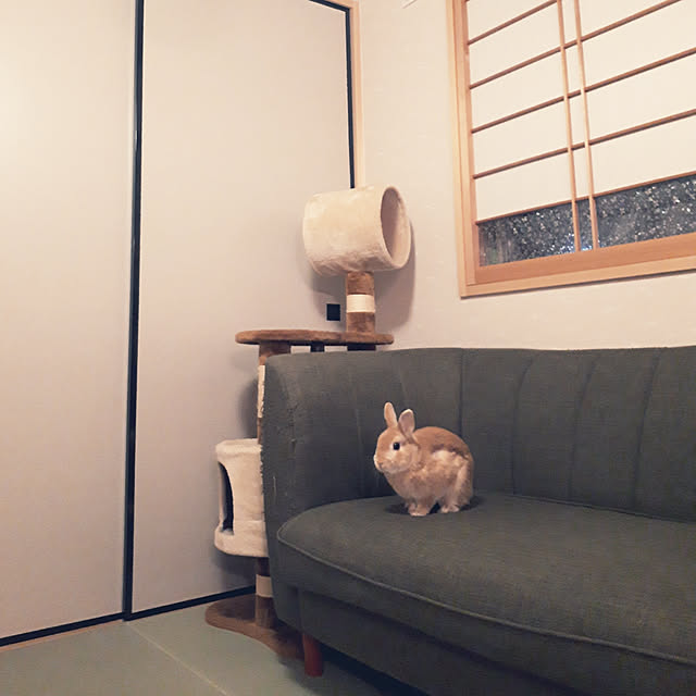 aiさんの実例写真