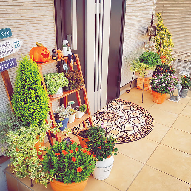 chikuwa_chanさんの実例写真
