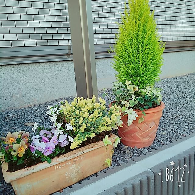 azuki38さんの実例写真