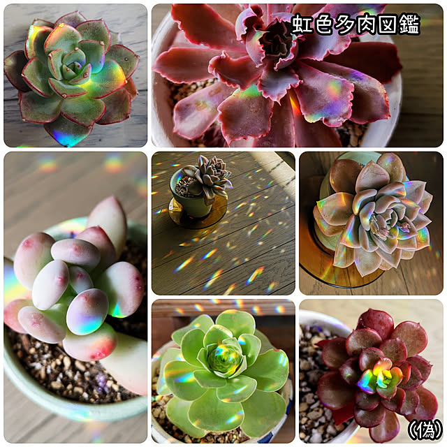 mionaさんの実例写真