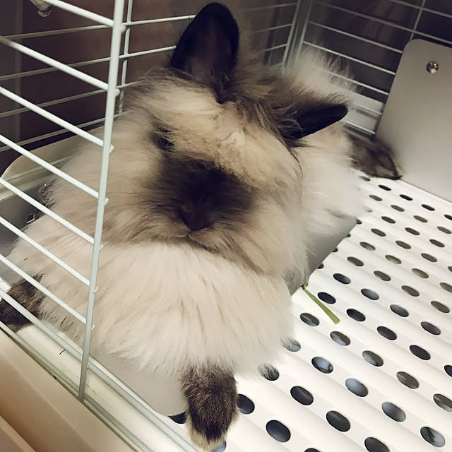 225828.kさんの実例写真