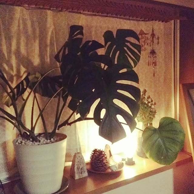arutanmamさんの実例写真