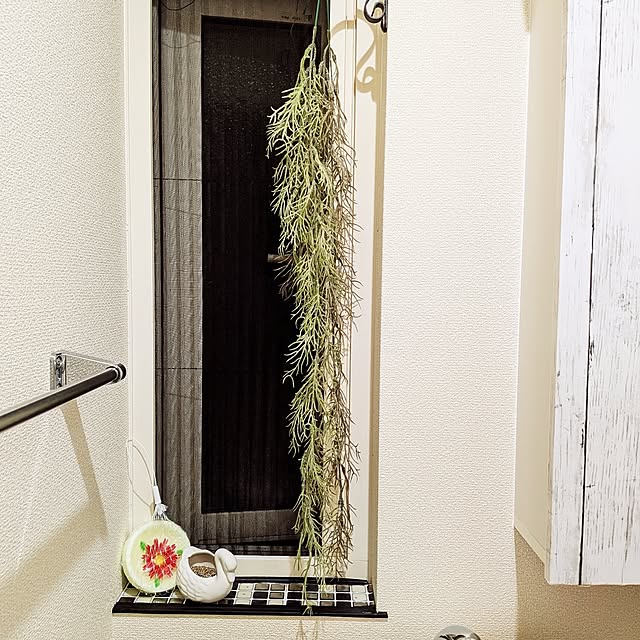 umeboshicyanさんの実例写真