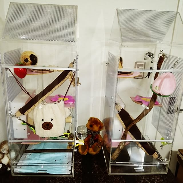 KOHAKUさんの実例写真