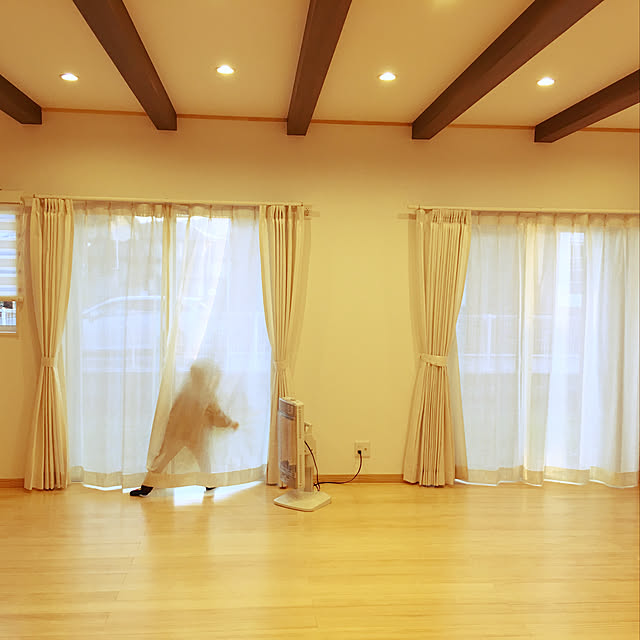 部屋全体/梁/照明のインテリア実例 - 2017-12-23 21:29:57