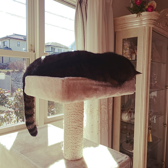 lilyさんの実例写真
