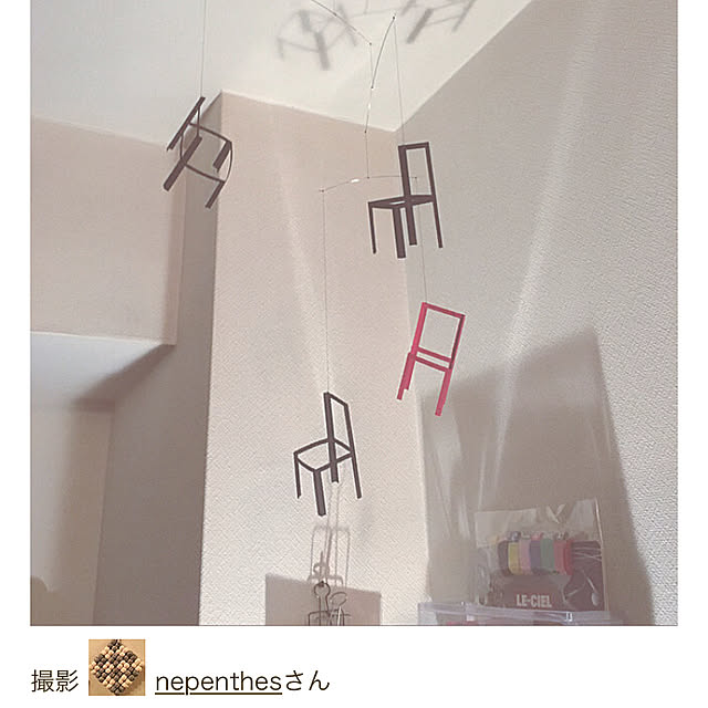 nepenthesさんの実例写真