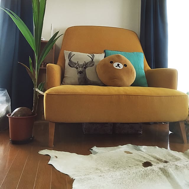 Yokoさんの実例写真