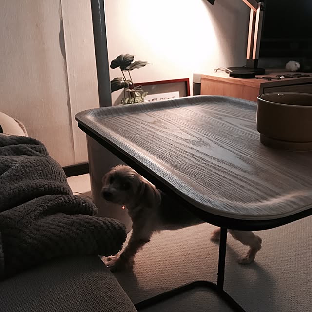 miiksさんの実例写真