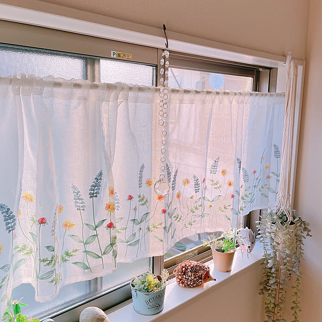 akiko-ovさんの部屋