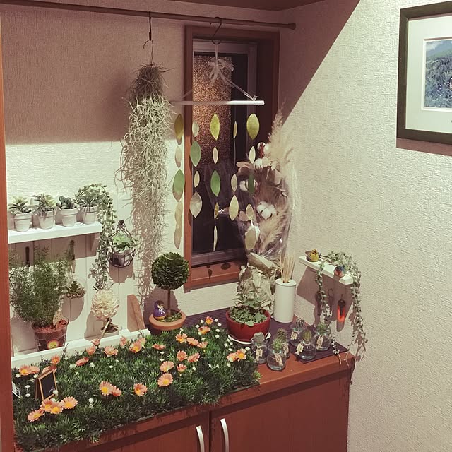 heko6_6さんの実例写真