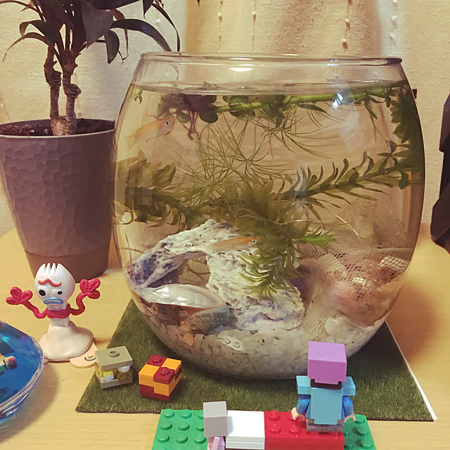 renrenさんの実例写真