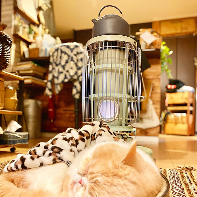 Rans_andy.さんの実例写真