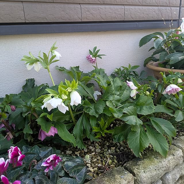 fumitanさんの部屋