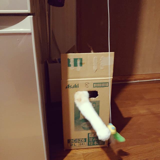 fukuさんの実例写真