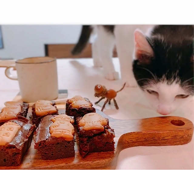 harukaさんの実例写真