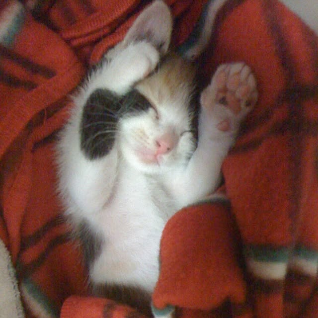 mtkさんの実例写真