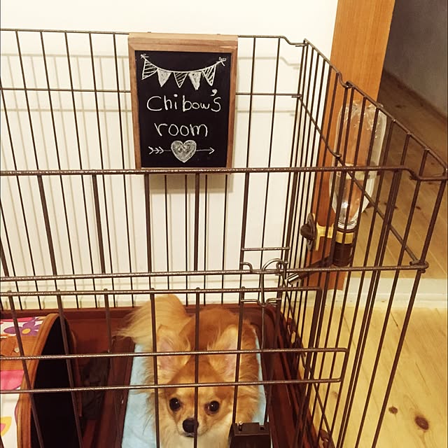jasmin1223さんの実例写真