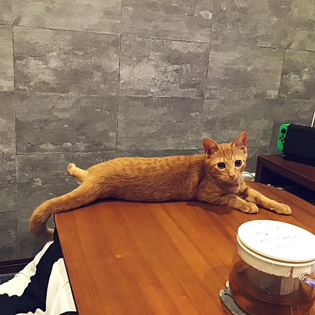 marumaruさんの実例写真