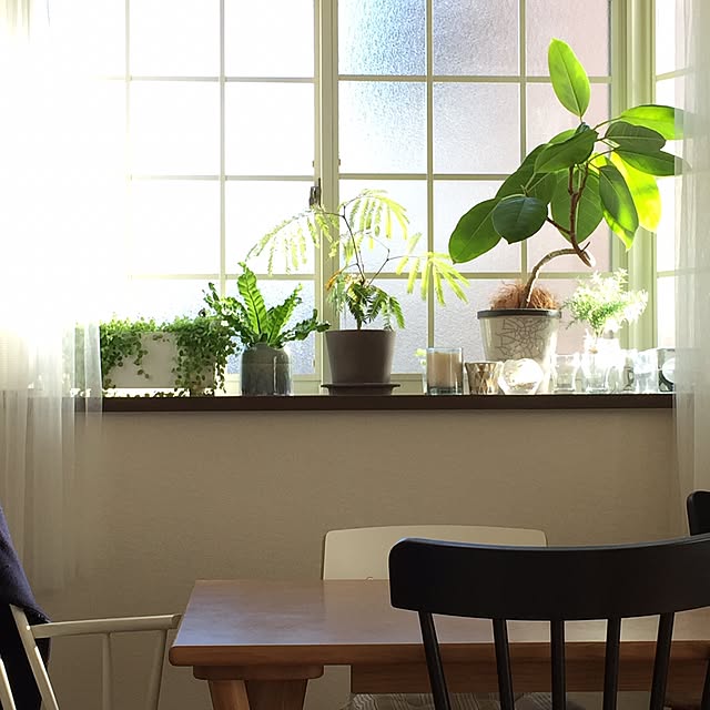 壁/天井/IKEA/観葉植物のインテリア実例 - 2017-02-07 08:36:46