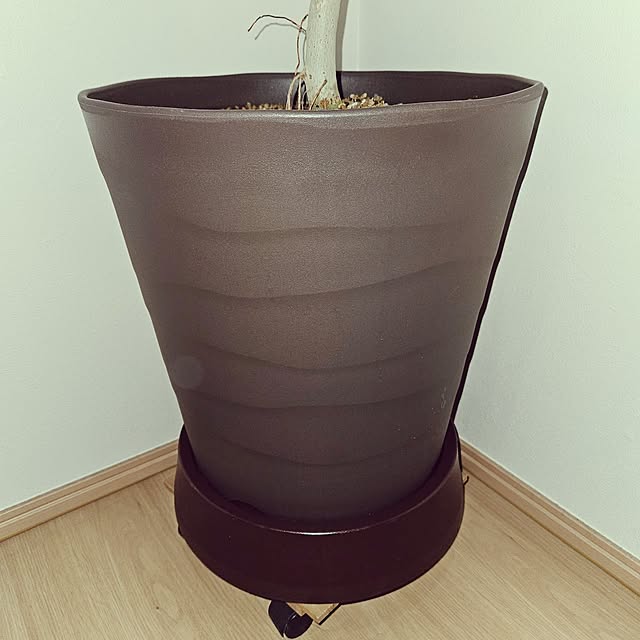 mocomocoさんの部屋