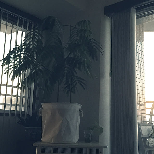 HKSさんの実例写真