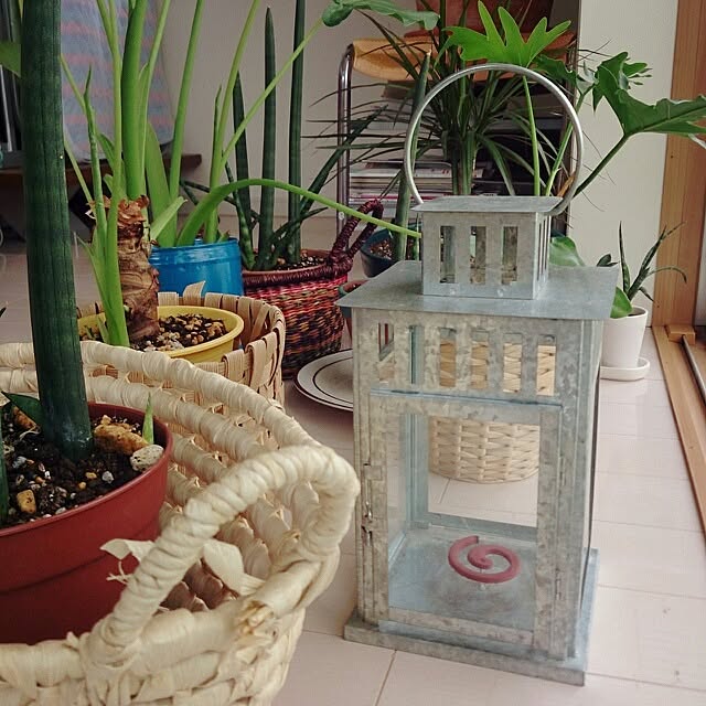 urchinさんの実例写真
