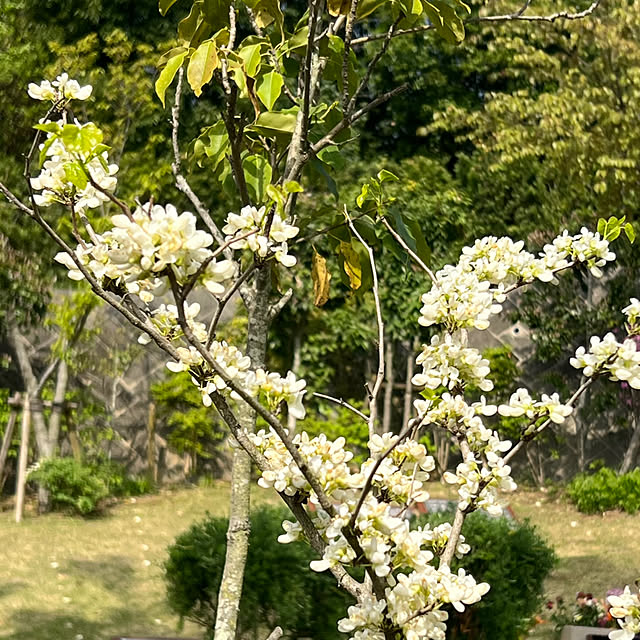 nannoさんの部屋