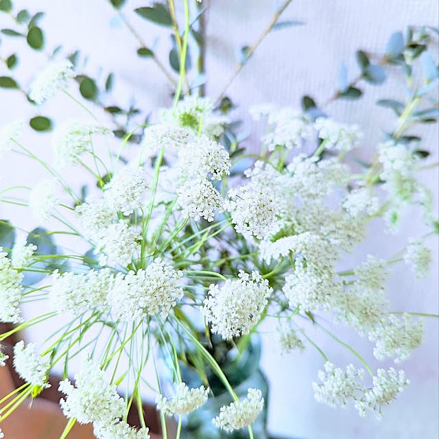 Blanc-purさんの実例写真