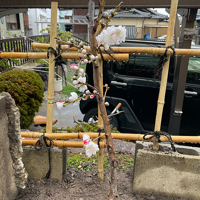 shin0719さんの部屋