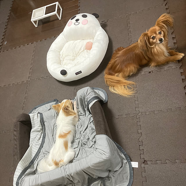 toratanさんの実例写真