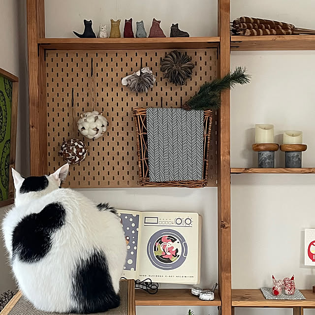 nobikoさんの部屋