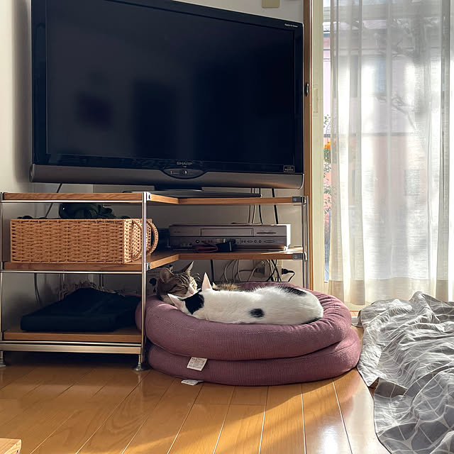 nobikoさんの部屋