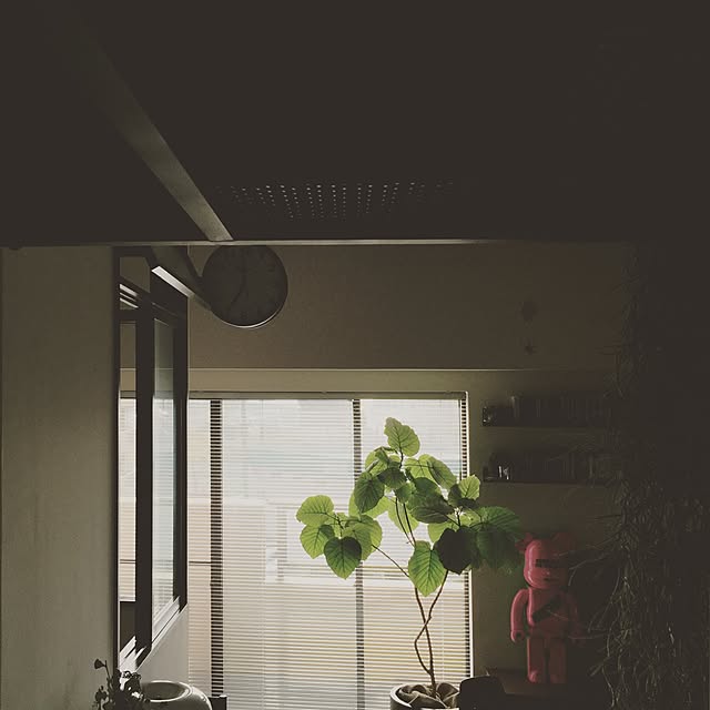 do_thee_boogieさんの実例写真