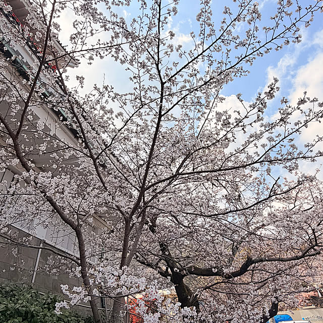 HomeSweetHomeさんの部屋