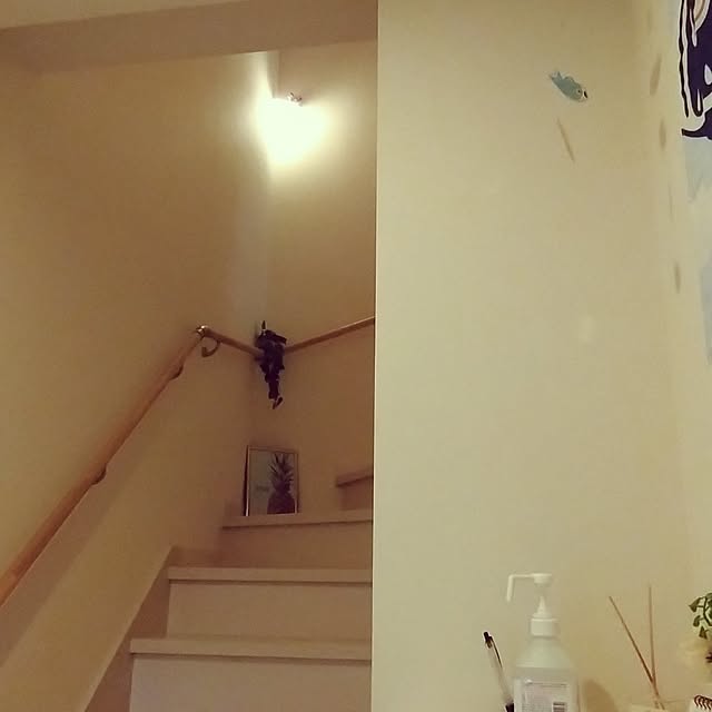 sumomoさんの部屋