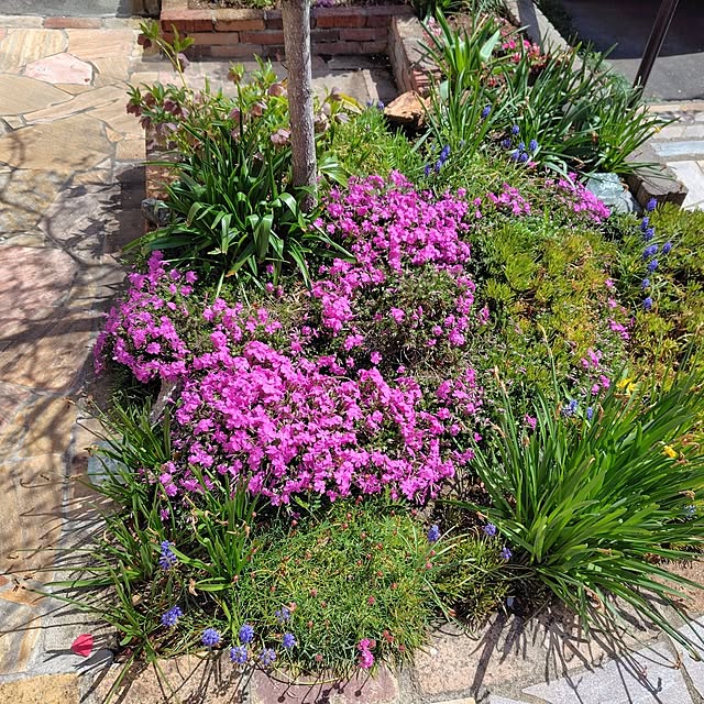 toshiさんの実例写真