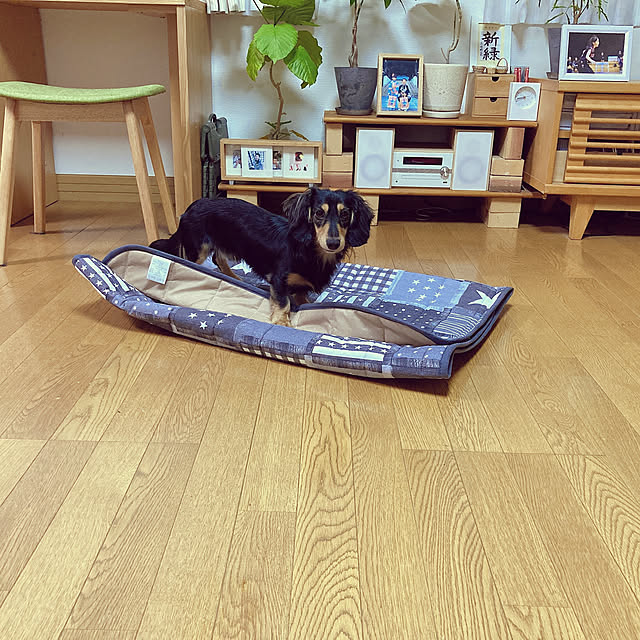 yukoさんの実例写真