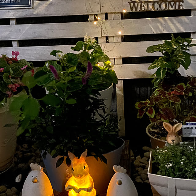 YuuKoさんの部屋