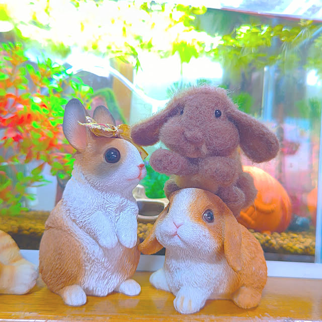 mariaさんの実例写真