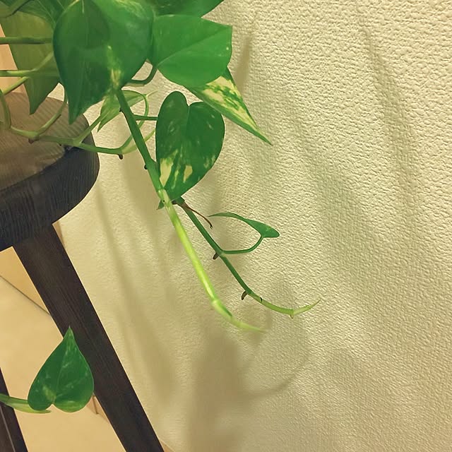 KOHAKUさんの部屋