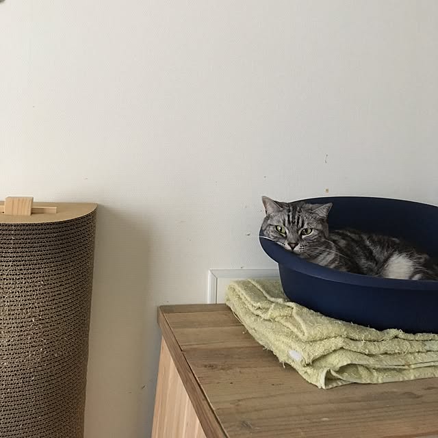 mikomaruさんの実例写真