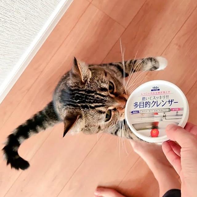mochicoさんの実例写真