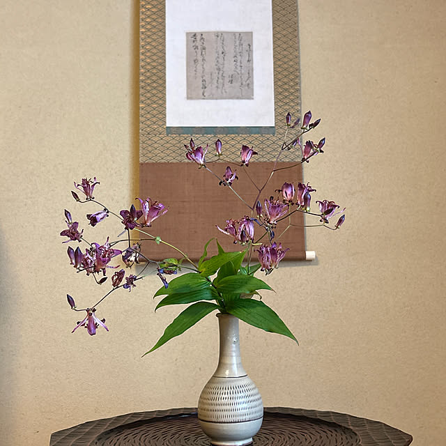 mozukuさんの実例写真