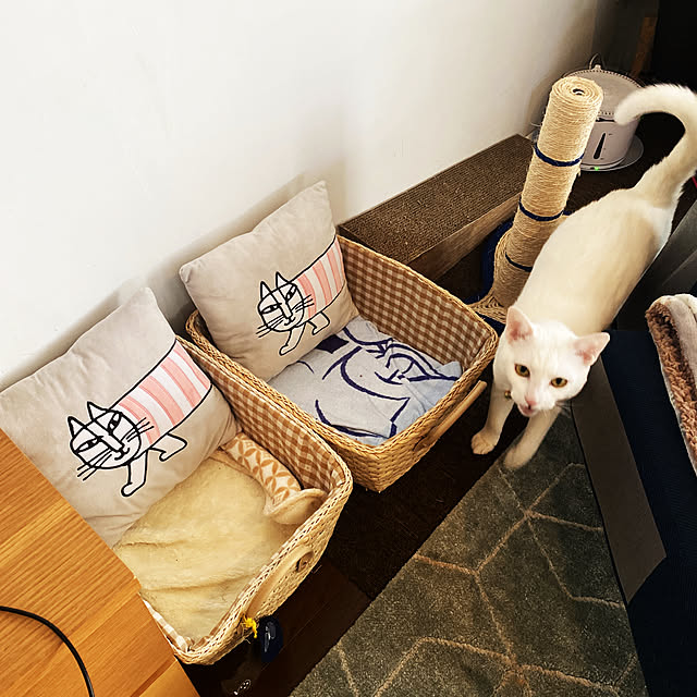 hanaさんの実例写真