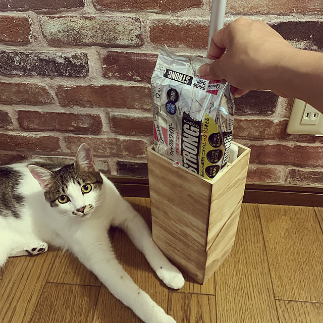 lovekuma_emilyさんの実例写真