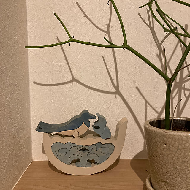 hatsugaさんの実例写真